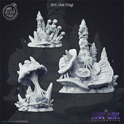 The Lost Cave - Cave Fungi (Часть 5/6) - фото 14164