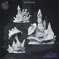 The Lost Cave - Cave Fungi 1884-5