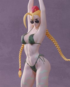 Cammy White - Героиня игры Street Fighter