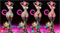 Jessie and Meowth - Pokemon (250 мм) 2209 - фото 17064